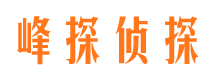 富裕市调查公司